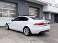 Jaguar XE 20d Portfolio Aut. **ACC/Keyless/Panorama** Weiß - thumbnail 5