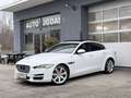 Jaguar XE 20d Portfolio Aut. **ACC/Keyless/Panorama** Weiß - thumbnail 2