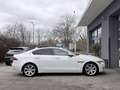Jaguar XE 20d Portfolio Aut. **ACC/Keyless/Panorama** Weiß - thumbnail 8