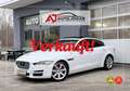 Jaguar XE 20d Portfolio Aut. **ACC/Keyless/Panorama** Weiß - thumbnail 1