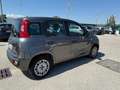 Fiat Panda 1.2 Lounge Gpl 69cv Grigio - thumbnail 7