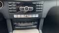 Mercedes-Benz E 250 BlueTEC 9G-TRONIC Festpreis bis zum 27.07.25 Gris - thumbnail 16