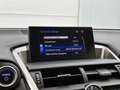 Lexus NX 300h Business Line Limited | Stoelverwarming | Camera | Grau - thumbnail 12