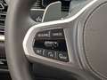 BMW X5 50e xDrive*M-Paket*AHK*INNO*PANO*H Gris - thumbnail 10