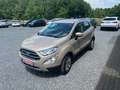 Ford EcoSport Titanium Automatik-Kamera-Top Beige - thumbnail 6