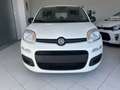 Fiat New Panda Firefly Hybrid 1.0 KM0 Bianco - thumbnail 2