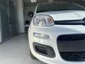 Fiat New Panda Firefly Hybrid 1.0 KM0 Bianco - thumbnail 15