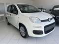 Fiat New Panda Firefly Hybrid 1.0 KM0 Bianco - thumbnail 3