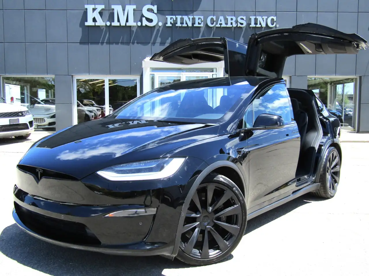 2022 Tesla Model X
