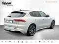 Maserati Grecale Grecale Modena Hybrid MY24 360°KAM+LUFTFAHRWERK Weiß - thumbnail 3