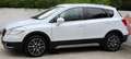 Suzuki SX4 S-Cross S-Cross 1.6 vvt Top 4wd allgrip White - thumbnail 5