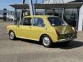 Austin Glider 1100 de Luxe Vert - thumbnail 4