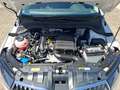 Skoda Fabia Combi 1.0 TSI Ambition DSG / KLIMA / SITZHEIZUNG / Weiß - thumbnail 17