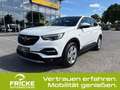 Opel Grandland Elegance Plug-in-Hybrid 4 AWD+Leder+Kamera Weiß - thumbnail 1