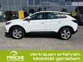 Opel Grandland Elegance Plug-in-Hybrid 4 AWD+Leder+Kamera Weiß - thumbnail 10