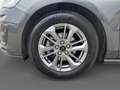 Ford Focus Turnier 1,5 EcoBlue Titanium Style Aut. Grau - thumbnail 14