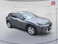 Lexus UX 250h 250h 2WD Pack Business MY20 Gris - thumbnail 3