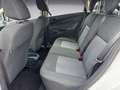 Ford Fiesta Trend 1,4 Trend Automatik SERVICE NEU Weiß - thumbnail 11