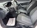 Ford Fiesta Trend 1,4 Trend Automatik SERVICE NEU Weiß - thumbnail 9