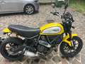Ducati Scrambler Icon 800 35Kw Galben - thumbnail 4