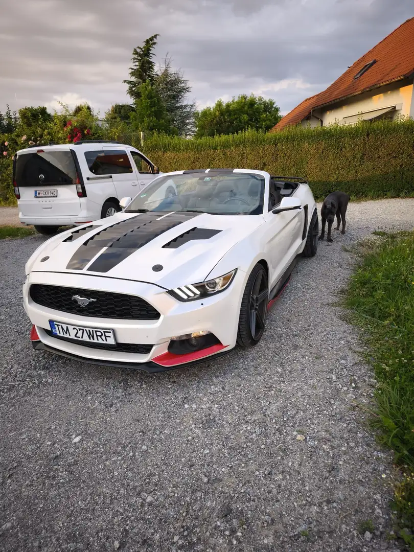 Ford Mustang Cabrio 2.3 Eco Boost - 1