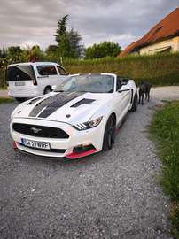 Cabrio 2.3 Eco Boost
