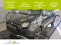 Fiat Panda 1.0 Mild-Hybrid Garmin *SITZHZG*DAB*BLUETOOTH* Grün - thumbnail 1