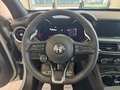 Alfa Romeo Stelvio 2.2 TD Veloce Q4 210cv auto - VARI COLORI! Grijs - thumbnail 13