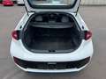 Hyundai IONIQ 1.6l GDi PLUG-IN HYBRID Premium Beyaz - thumbnail 14