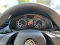 Skoda Kamiq 1,0 TSI DSG Active *SMARTLINK*GJR*KLIMA*LED* Blu/Azzurro - thumbnail 11