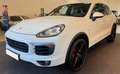 Porsche Cayenne Diesel *AHK*PANORAMA Weiß - thumbnail 2
