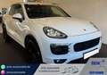 Porsche Cayenne Diesel *AHK*PANORAMA Weiß - thumbnail 1