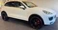 Porsche Cayenne Diesel *AHK*PANORAMA Weiß - thumbnail 3