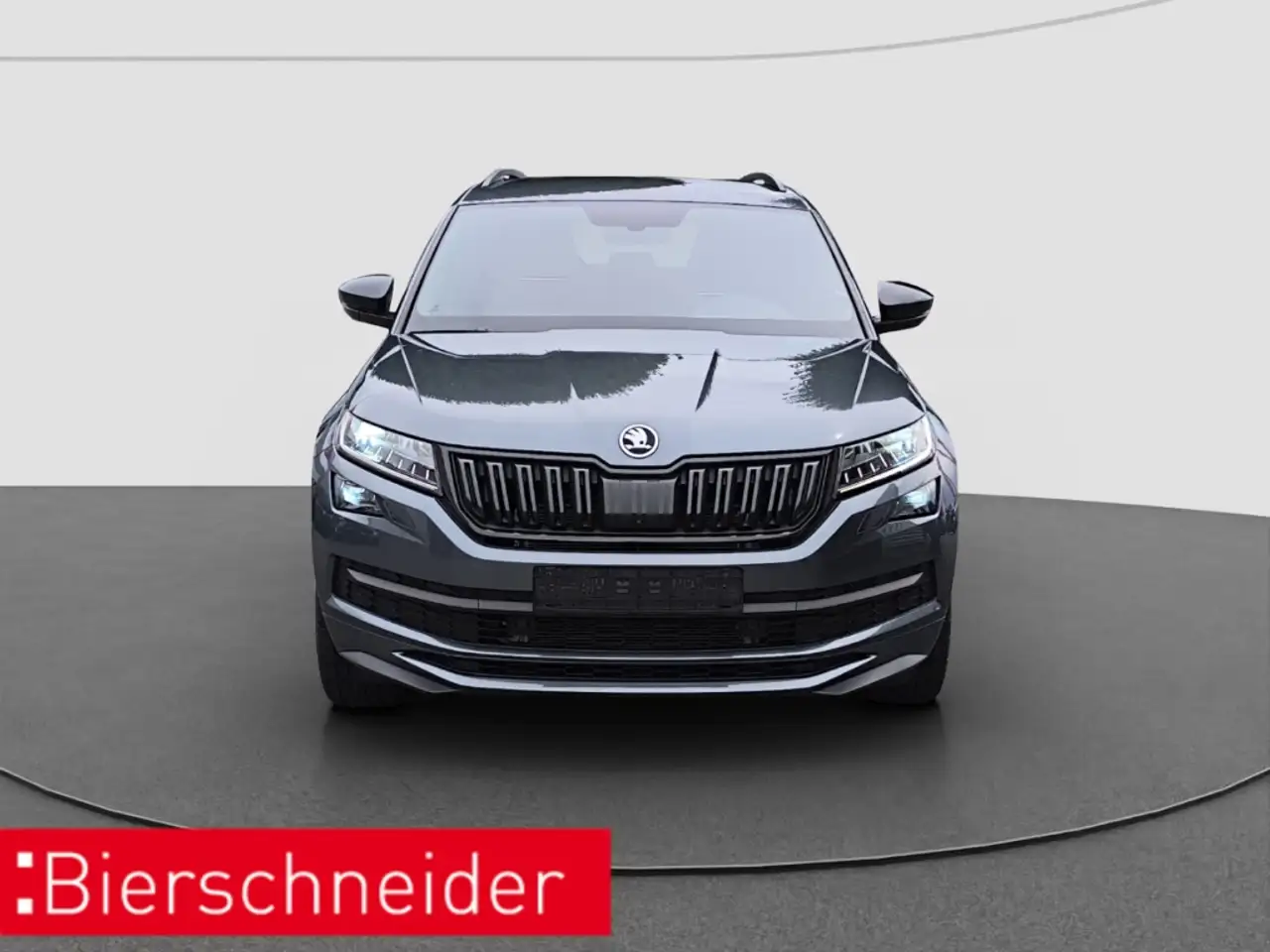 Skoda Kodiaq 2.0 TDI DSG 4x4 Sportline AHK LED NAVI, миниатюра 2