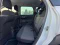 Citroen C3 Aircross PureTech 82 Shine Weiß - thumbnail 10