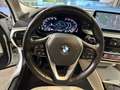 BMW 530 d MHEV 48V xDrive Touring Luxury Automatico Blanc - thumbnail 15
