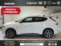 Alfa Romeo Tonale 1.3 280 CV PHEV AT6 Q4 Tributo Italiano Bianco - thumbnail 1