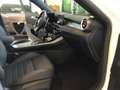 Alfa Romeo Tonale 1.3 280 CV PHEV AT6 Q4 Tributo Italiano Bianco - thumbnail 13