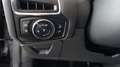 Ford Focus 1.6 TDCi 95 CV Business Grigio - thumbnail 17