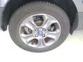 Ford EcoSport 1.0 EcoBoost Trend Ultimate 125PK NAVI | LMV | AIR Grijs - thumbnail 12