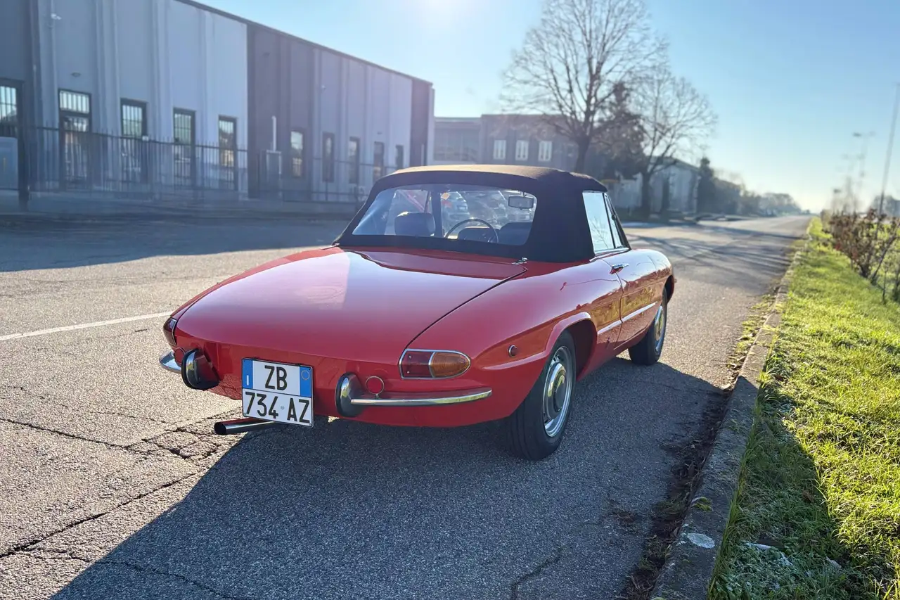 Alfa Romeo Spider 1750 Veloce 1ª Serie America, foto 6