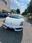 Lamborghini Gallardo Gallardo Coupe 5.2 LP 560-4 e-gear Blanco - thumbnail 11