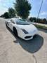 Lamborghini Gallardo Gallardo Coupe 5.2 LP 560-4 e-gear Blanco - thumbnail 14