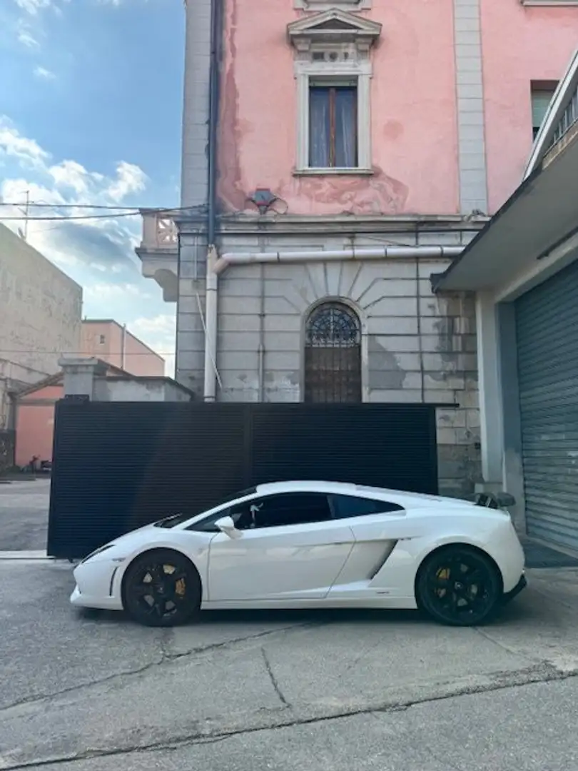 Lamborghini Gallardo Gallardo Coupe 5.2 LP 560-4 e-gear Bianco - 2