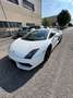 Lamborghini Gallardo Gallardo Coupe 5.2 LP 560-4 e-gear Blanco - thumbnail 9