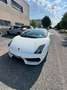 Lamborghini Gallardo Gallardo Coupe 5.2 LP 560-4 e-gear Blanco - thumbnail 10