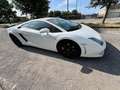 Lamborghini Gallardo Gallardo Coupe 5.2 LP 560-4 e-gear Blanco - thumbnail 15