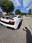 Lamborghini Gallardo Gallardo Coupe 5.2 LP 560-4 e-gear Blanco - thumbnail 17