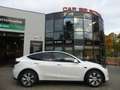 Tesla Model Y Long Range Dual AWD PANO/LEDER/360°/AUTO Weiß - thumbnail 13