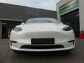 Tesla Model Y Long Range Dual AWD PANO/LEDER/360°/AUTO Weiß - thumbnail 11